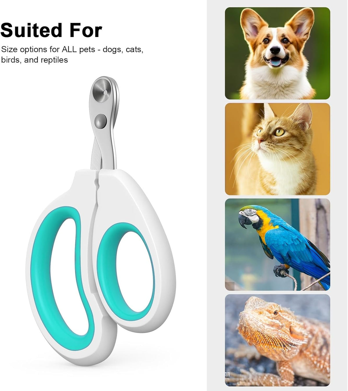 Cat Specific Nail Clipper, Avoiding Excessive Cutting, Suitable for Beginners. It Can Also be Used