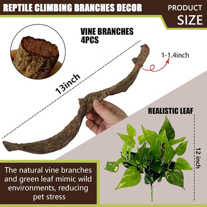 BNOSDM 4Pcs Reptile Climbing Branches Decor,Snake Climbing Branch,Gecko Climb Wood,Lizard Forest