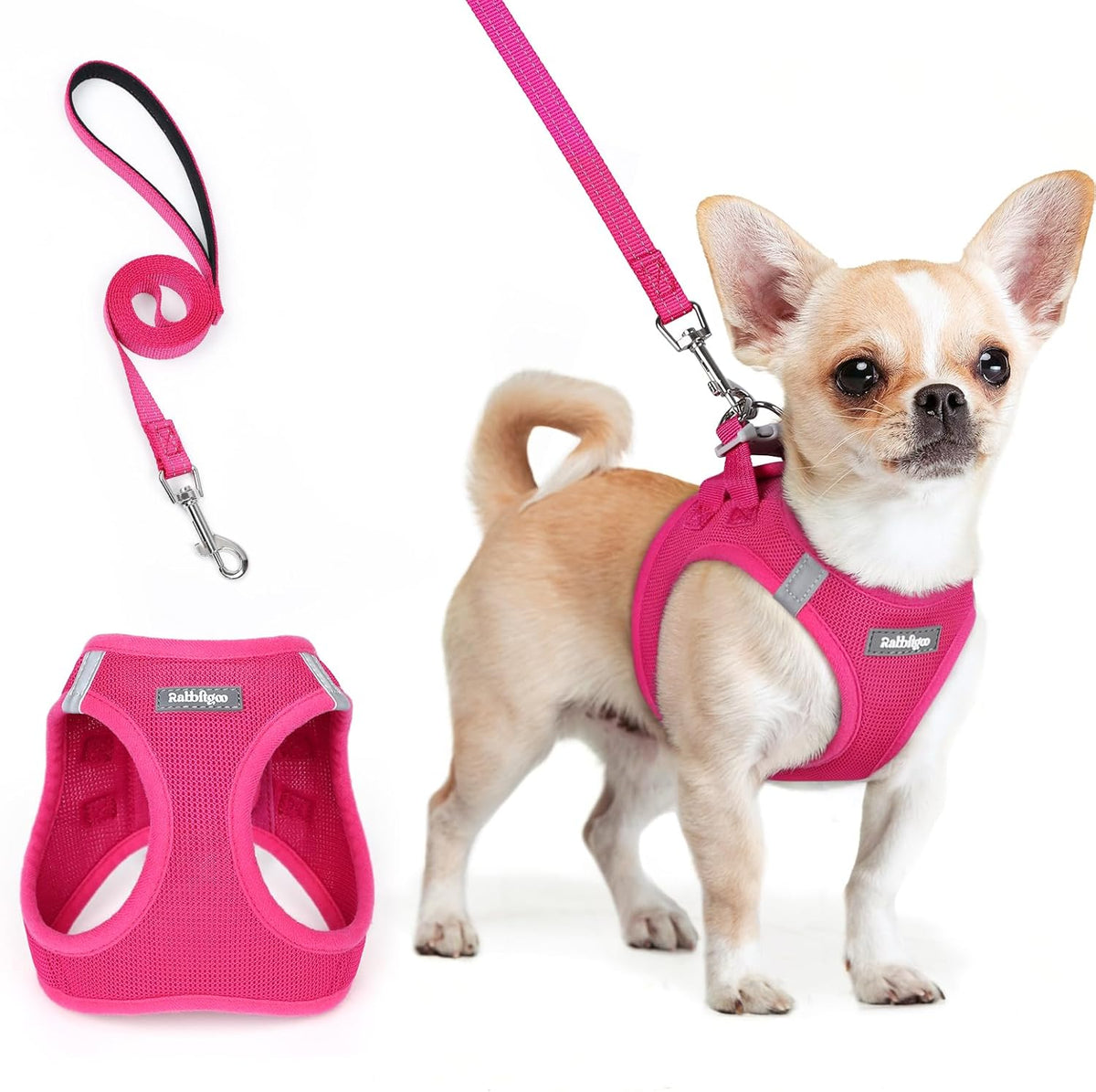rabbitgoo Dog Harness Small Sized and Leash Set, Step in Soft Light Puppy Vest, Breathable Mesh Pet