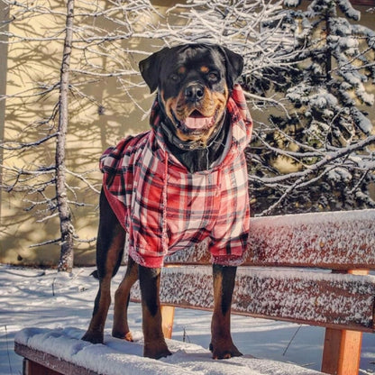 Spark Paws Dog Hoodie – Premium Dog Sweater for Small, Medium, and Large Dogs | Warm Outfits for