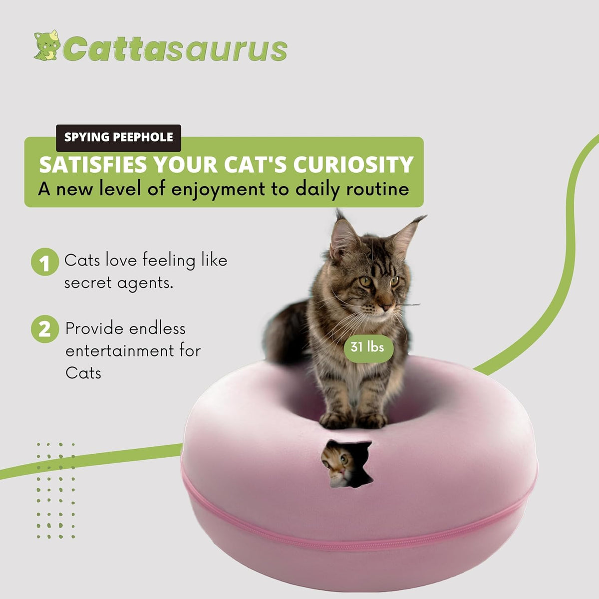 Cattasaurus Peekaboo Cat Cave for Multiple & Large Cats Up to 30-45 Lbs, Scratch Detachable &