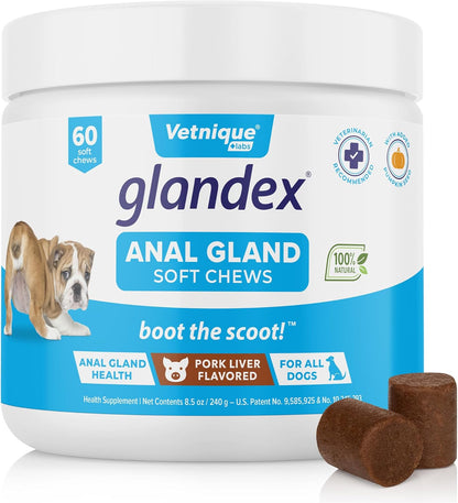 Vetnique Labs Glandex Anal Gland Soft Chew Treats with Pumpkin for Dogs Digestive Enzymes