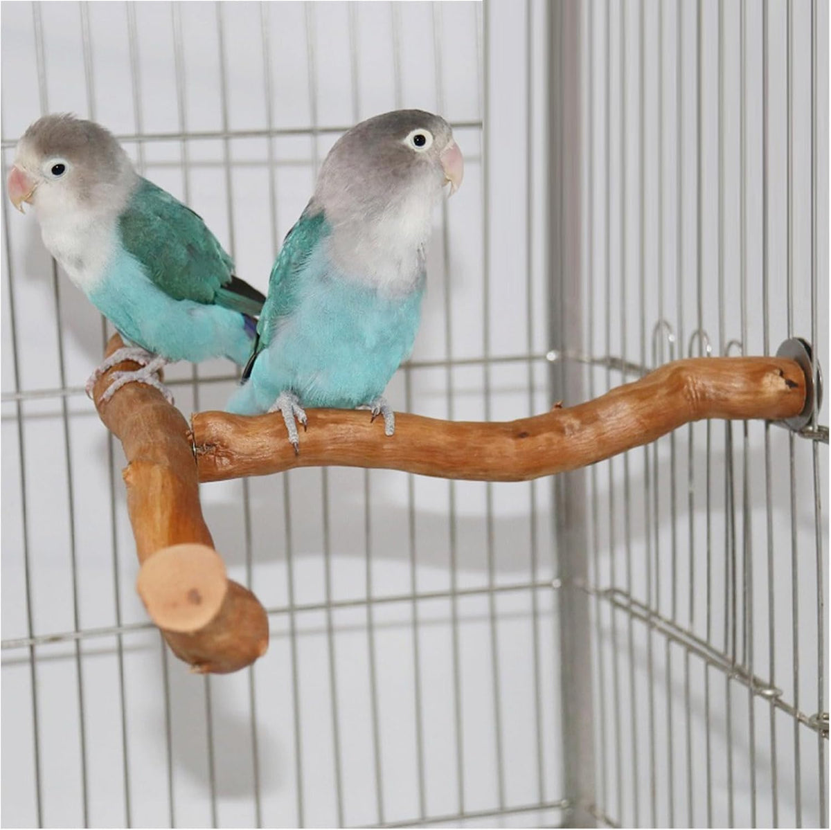 Wood Bird Perch, T Shaped Birdcage Stand Wooden Parrot Perch Stand Perch for Bird Cage Grinding
