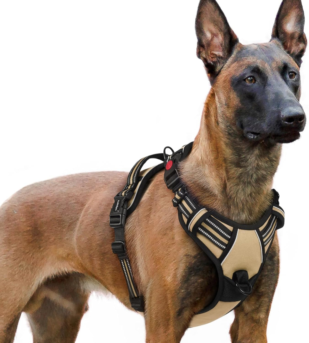 rabbitgoo Dog Harness for Large, No Pull Pet Harness with 3 Buckles, Adjustable Soft Padded Vest