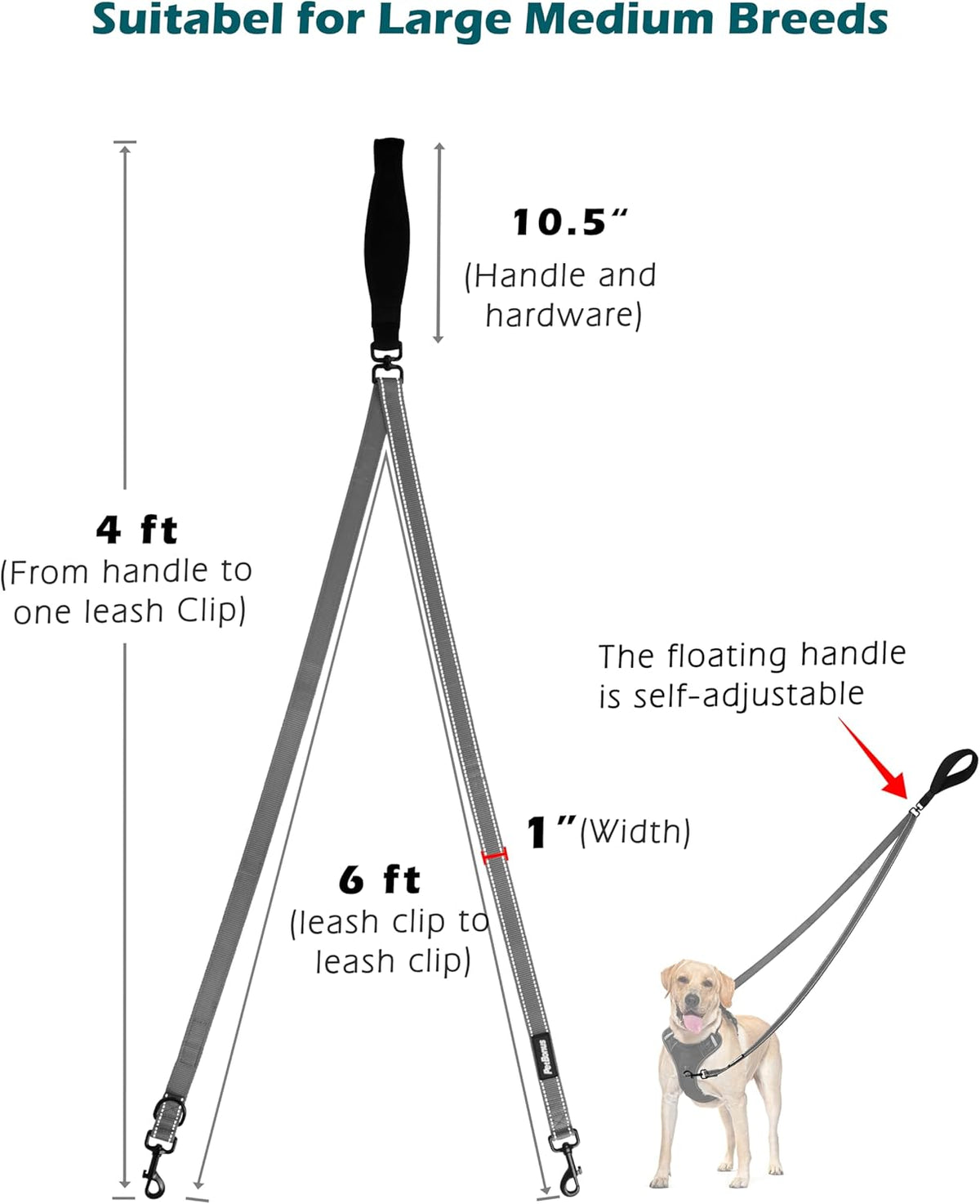 PetBonus Two Point Control Dog Leash, Works with No Pull Harnesses, No Tangle Dog Training Leashes
