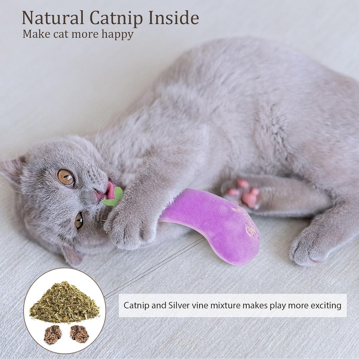 Catnip Cat Toys, Interactive Indoor Cat Nip Toy Kitty Kicker, Dental Kitten Chew Toy, 5 Pack