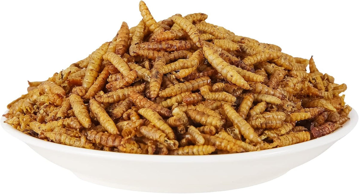 Dried Black Solidier Fly Larvae 11LBS, 85X More Calcium Than Mealworms High-Protein BSF Larvae