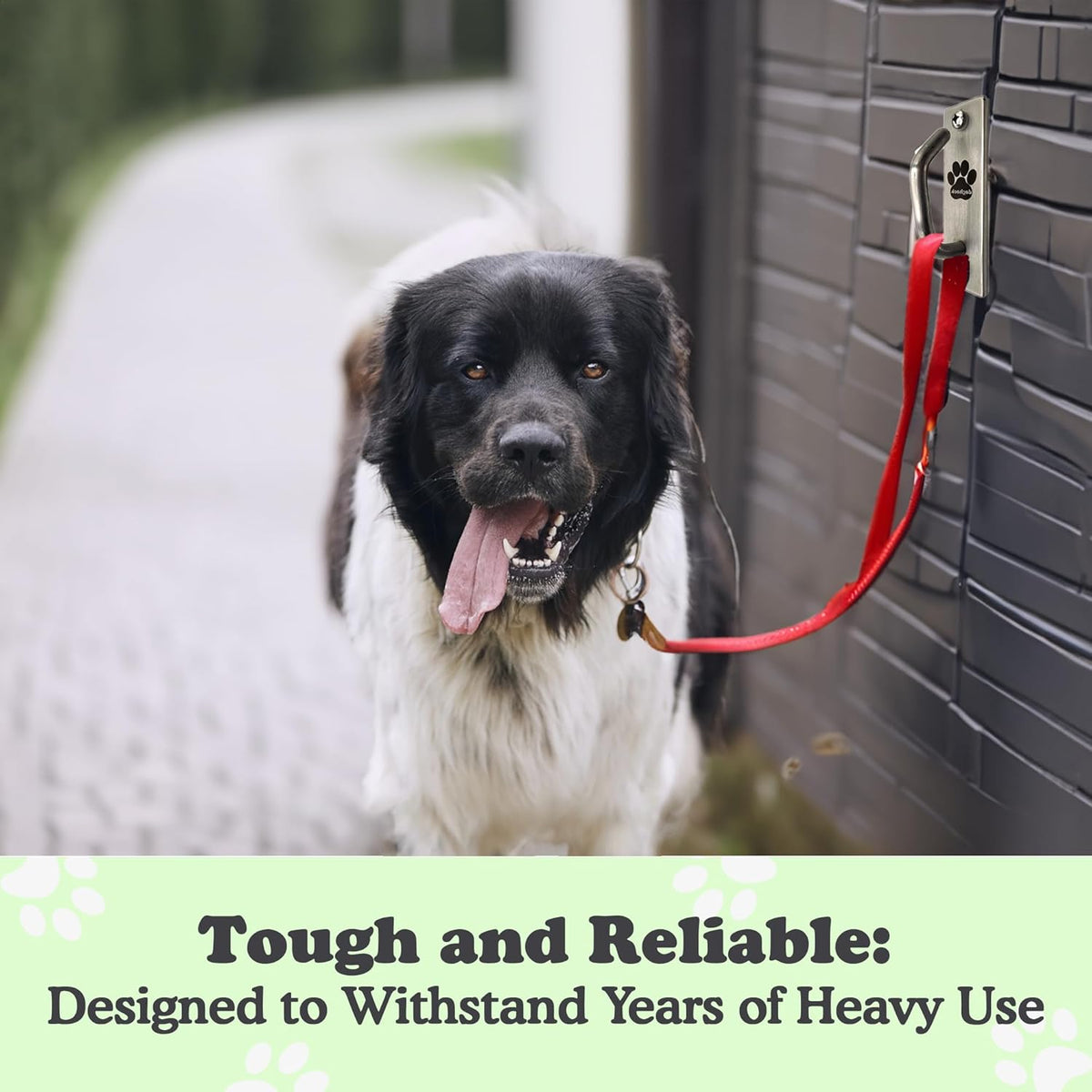 Canine Hitch- Secure Dog Leash Parking Mounted Indoor – Outdoor Wall Hook - Tie Out Stainless Steel