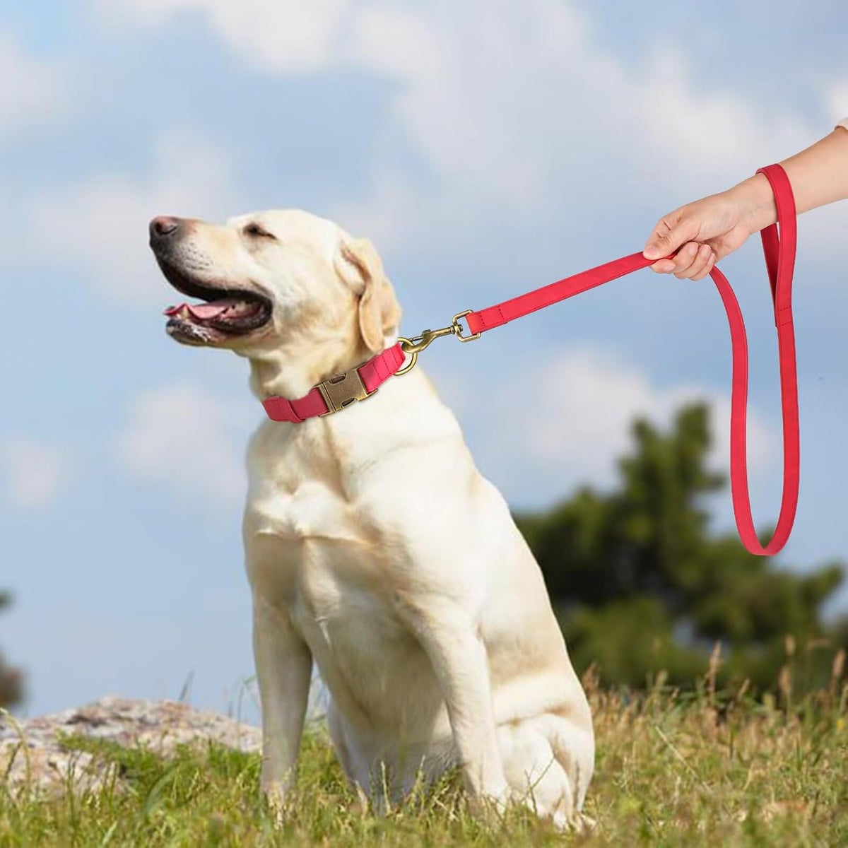 Didog Soft PU Leather Dog Collar, Stylish Quick Released Dog Collars for Large Dogs, Easy Clean