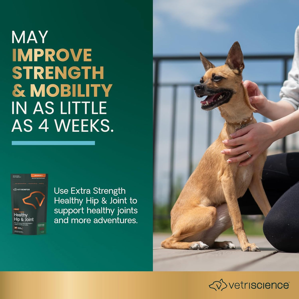 VetriScience Glycoflex 3 Clinically Proven Hip and Joint Support Supplement for Small Dogs