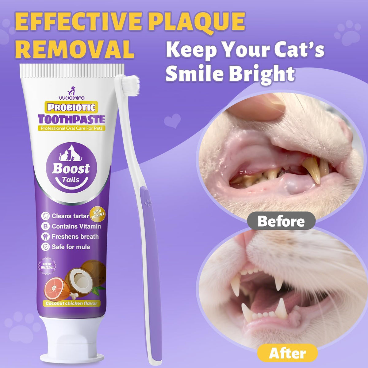 Cat Toothbrush and Toothpaste Kit - Includes Toothpaste (Coconut Chicken 2.5 oz.) Soft Brush