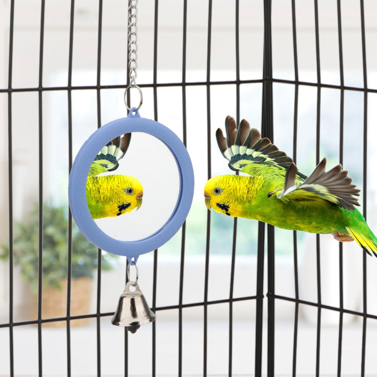 Hypeety Pet Bird Mirror with Bell Interactive Parrot Toy Bird Cage Mirror for Cockatiel Parakeets
