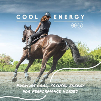 Manna Pro Cool Calories 100 – Equine Fat Supplement for Horses, Supports Healthy Weight Gain