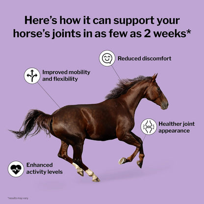 Formula 707 Joint 6in1 Equine Supplement 5 lb Bag - Support for Joint Integrity and Inflammatory