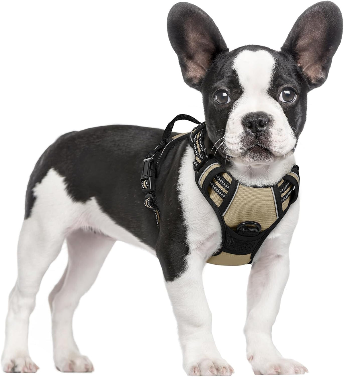 rabbitgoo Dog Harness No Pull with 2 Leash Clips, Adjustable Soft Padded, Reflective Oxford No