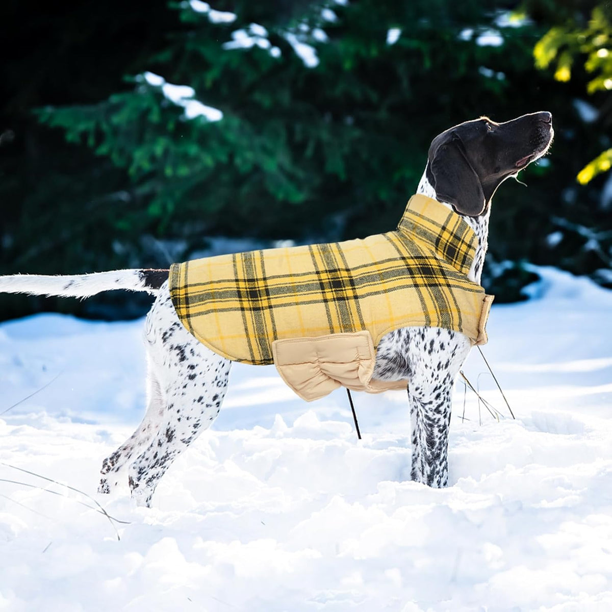 Kuoser Warm Dog Coat, Waterproof Dog Jacket for Extra Large Dogs, Adjustable Durable XXL Doggie