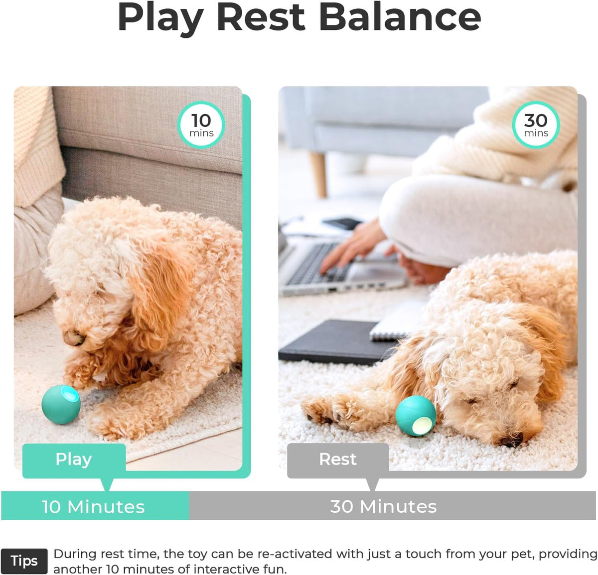 Interactive Dog Toys, Wicked Ball SE, 3 Interactive Modes,Enhanced Rubber Active Rolling Dog Toy
