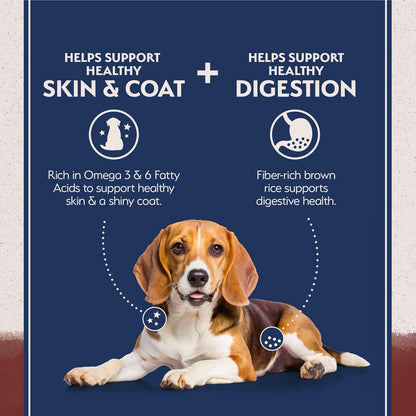 Natural Balance Limited Ingredient Adult Dry Dog Food with Healthy Grains, Beef & Brown Rice