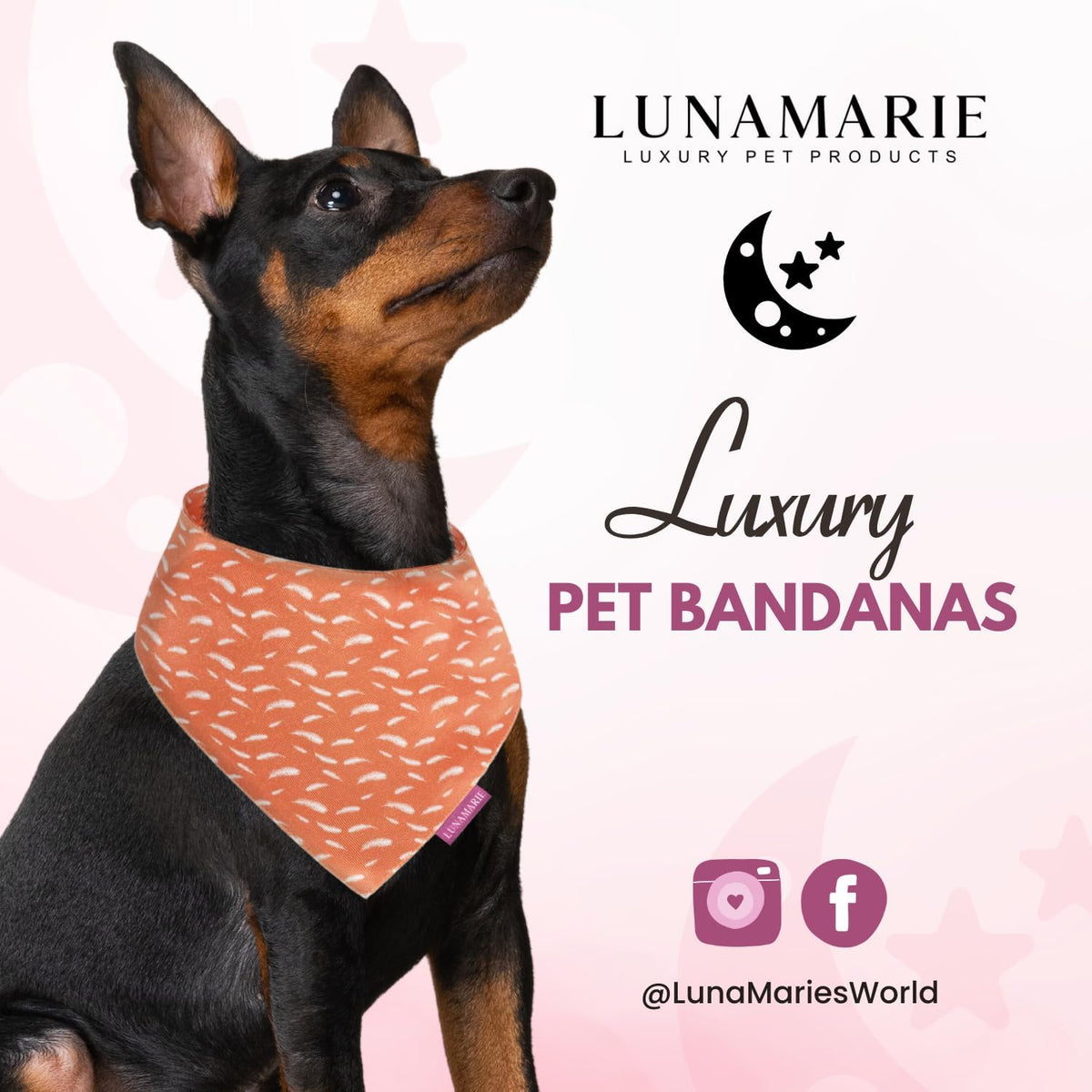 LunaMarie - Luxury Pet Birthday Bandanas -Premium & Silky Poly Fabric | 100% Handmade | Custom