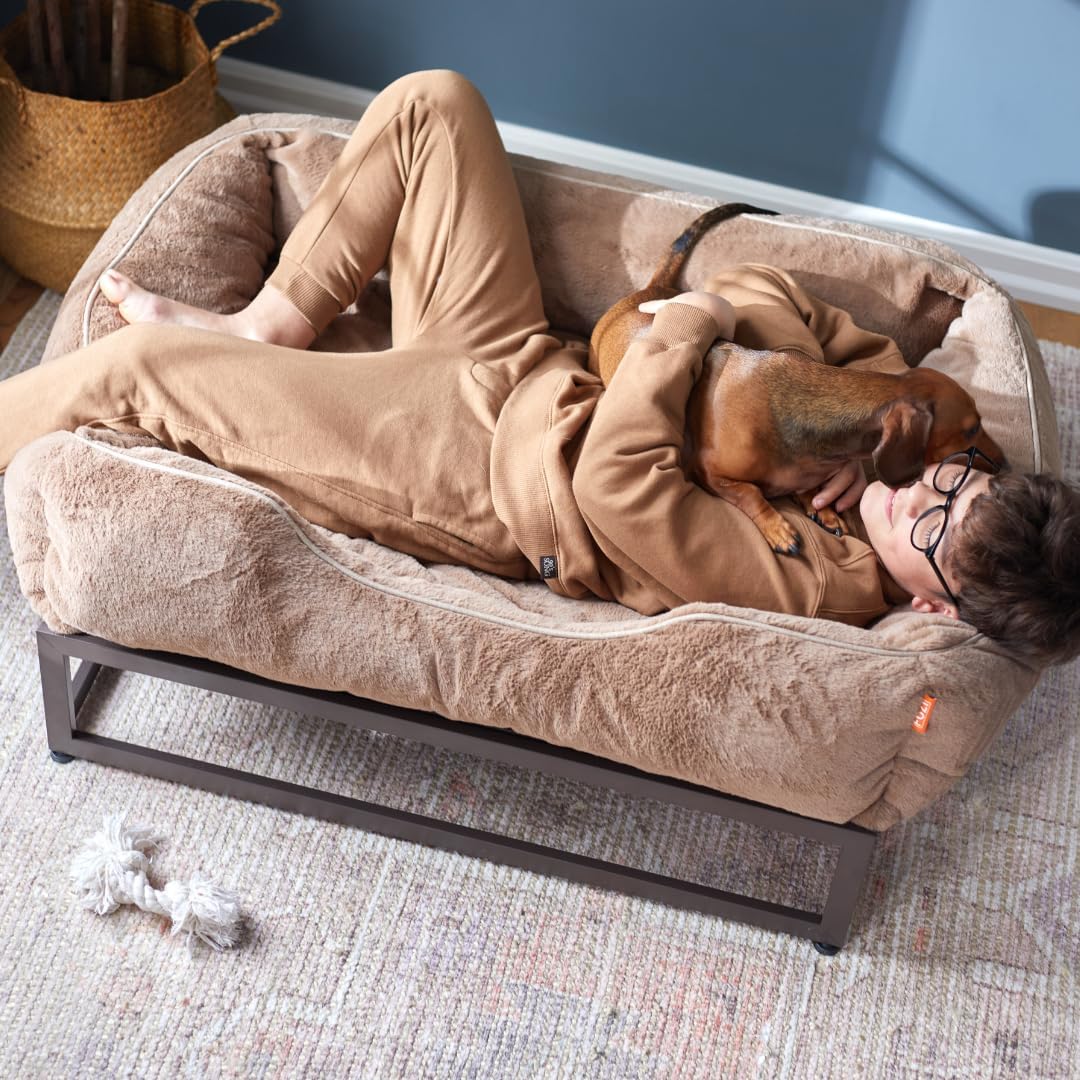 FUZI Luxury Aesthetic Dog Bed for Medium Dogs with Washable Cover, Pet Couch, Pet Bed with Sides