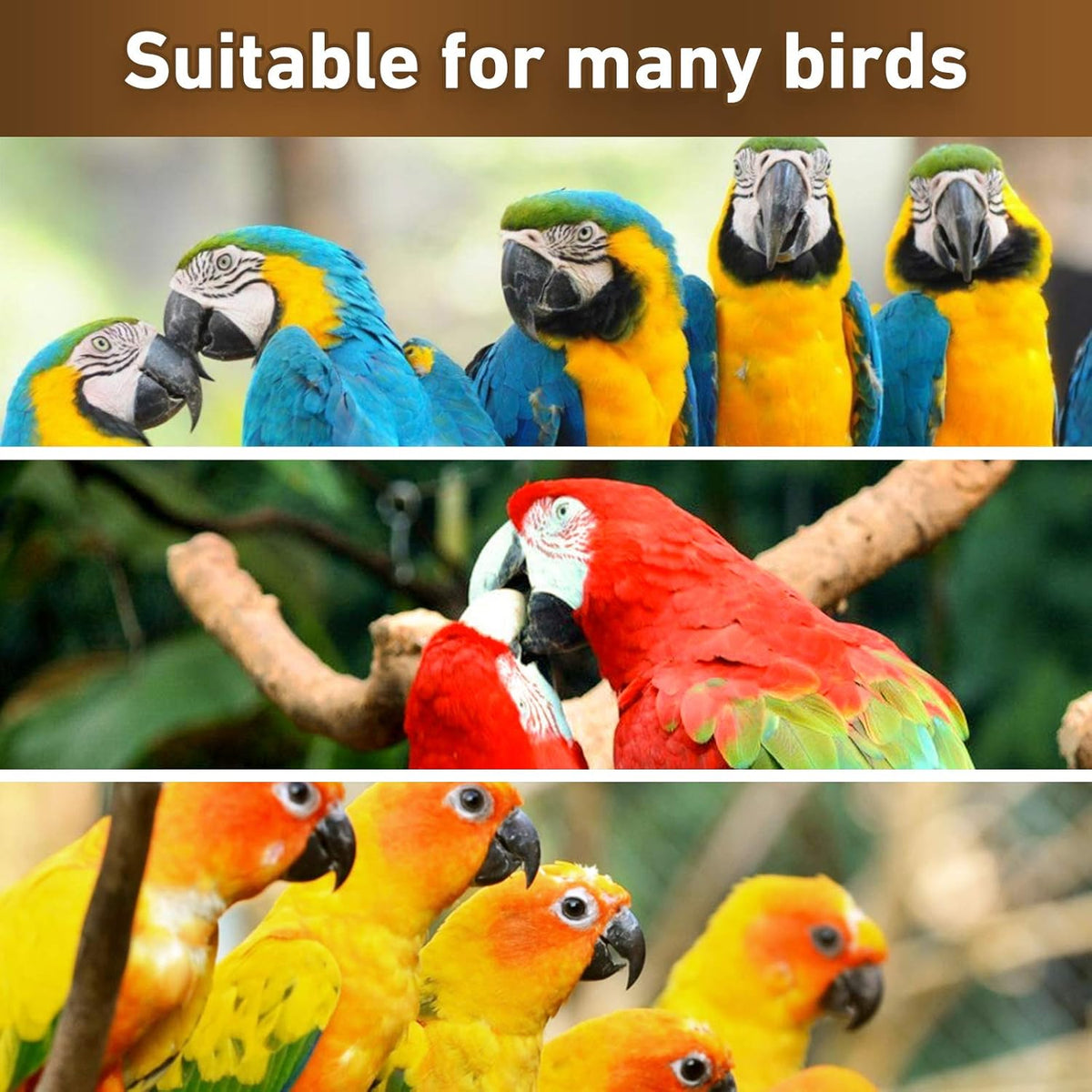 MYFAMIREA Parrot Toys for Medium Birds, Parrot Chewing Cardboard Toys Natural Wooden Macaws Cage