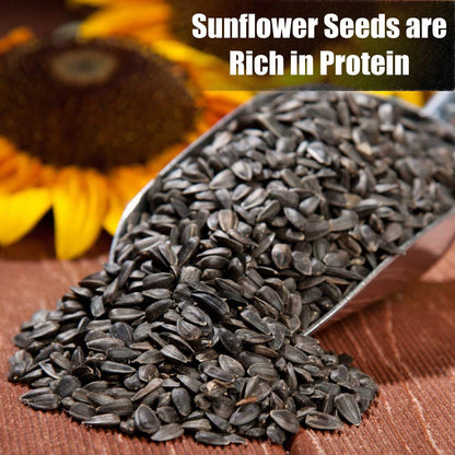 Wildlife Black Oil Sunflower Seeds for Birds and Wildlife, Non-GMO & USA Grown on Small Farms (25