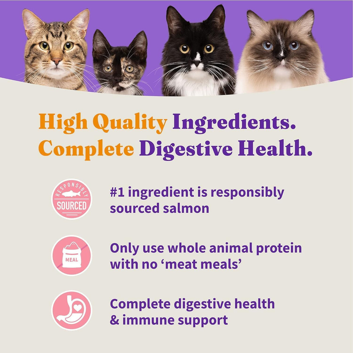 Halo Holistic Cat Food Wild Caught Salmon & Whitefish Formula, Healthy Grains Dry Cat Food
