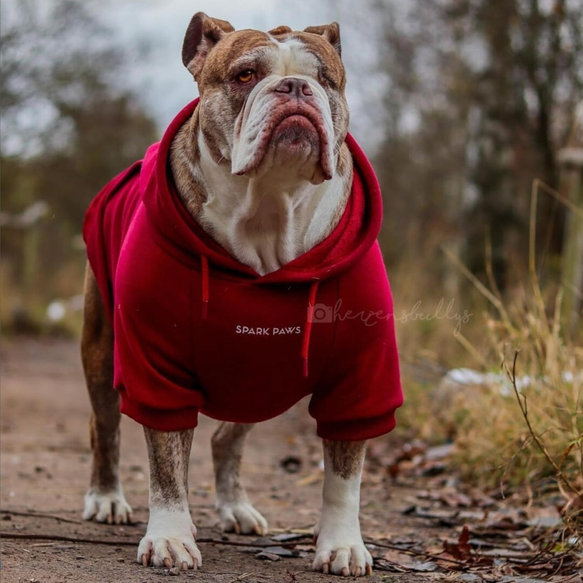 Spark Paws Dog Hoodie – Premium Dog Sweater for Small, Medium, and Large Dogs | Warm Outfits for