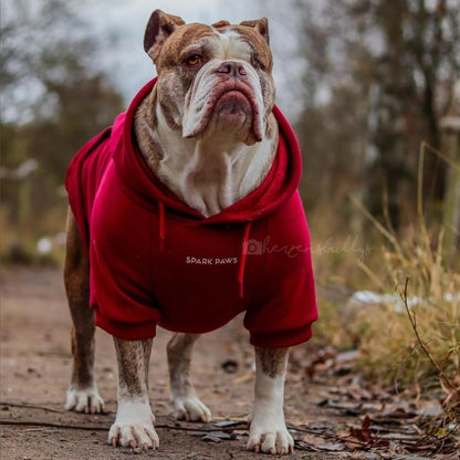 Spark Paws Dog Hoodie – Premium Dog Sweater for Small, Medium, and Large Dogs | Warm Outfits for
