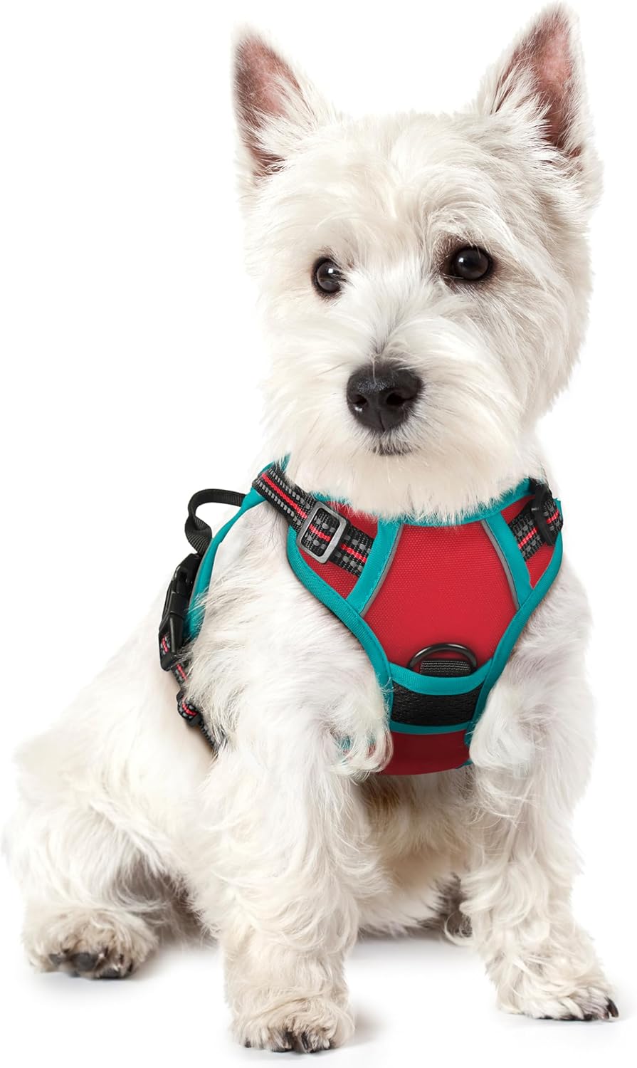 rabbitgoo Dog Harness No Pull with 2 Leash Clips, Adjustable Soft Padded, Reflective Oxford No