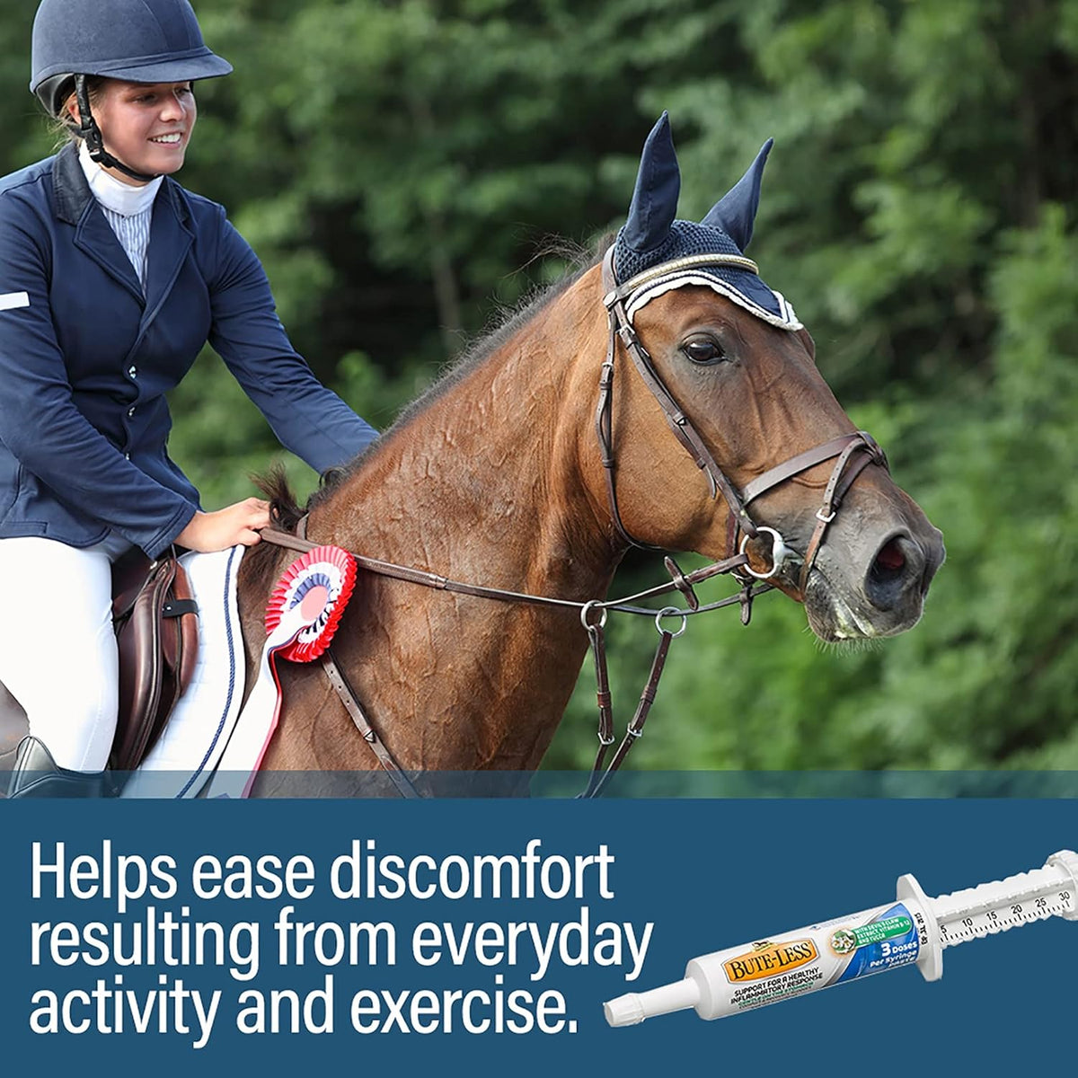 Absorbine Bute-Less Long-Term Horse Comfort & Recovery Supplement Paste, Gentle on Stomach, Devil’s