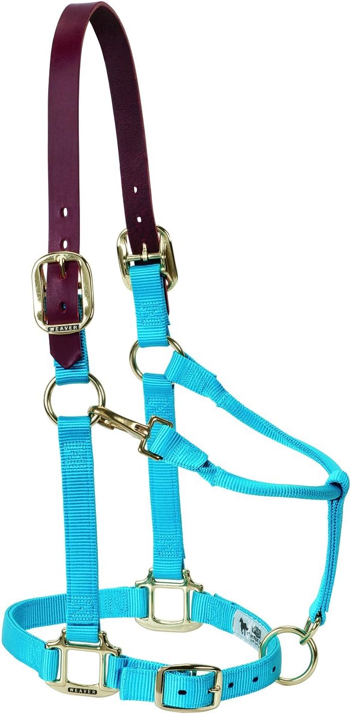 Weaver Equine Breakaway Horse Halter, Supple Leather Crown, Adjustable Chin & Throat Snap Halters