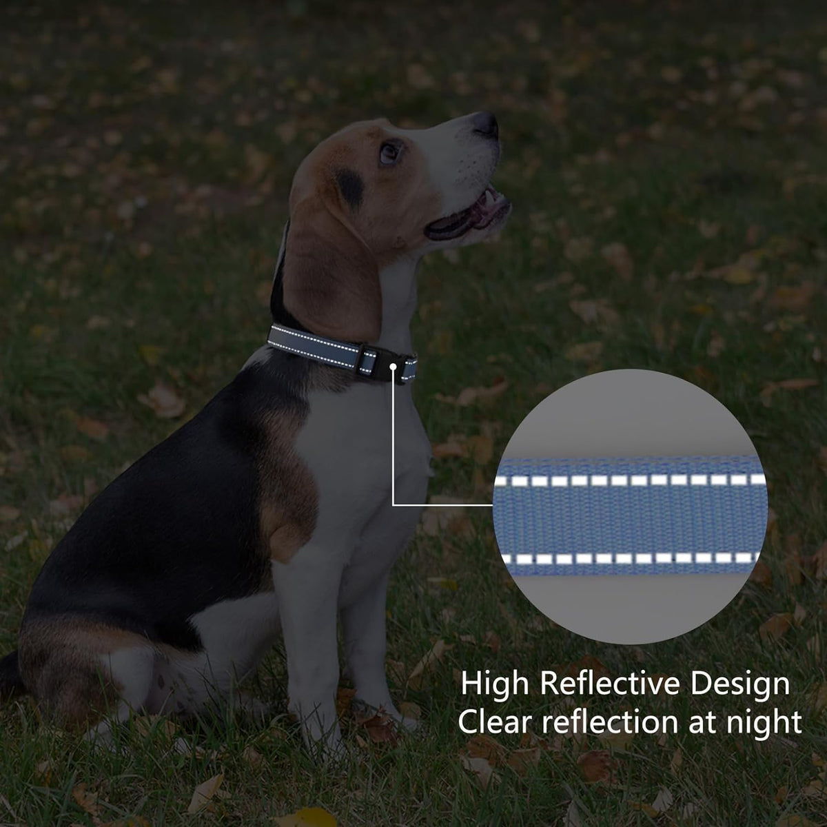 Reflective Dog Collar Padded with Soft Neoprene Breathable Quick Release Basic Dog Collars for