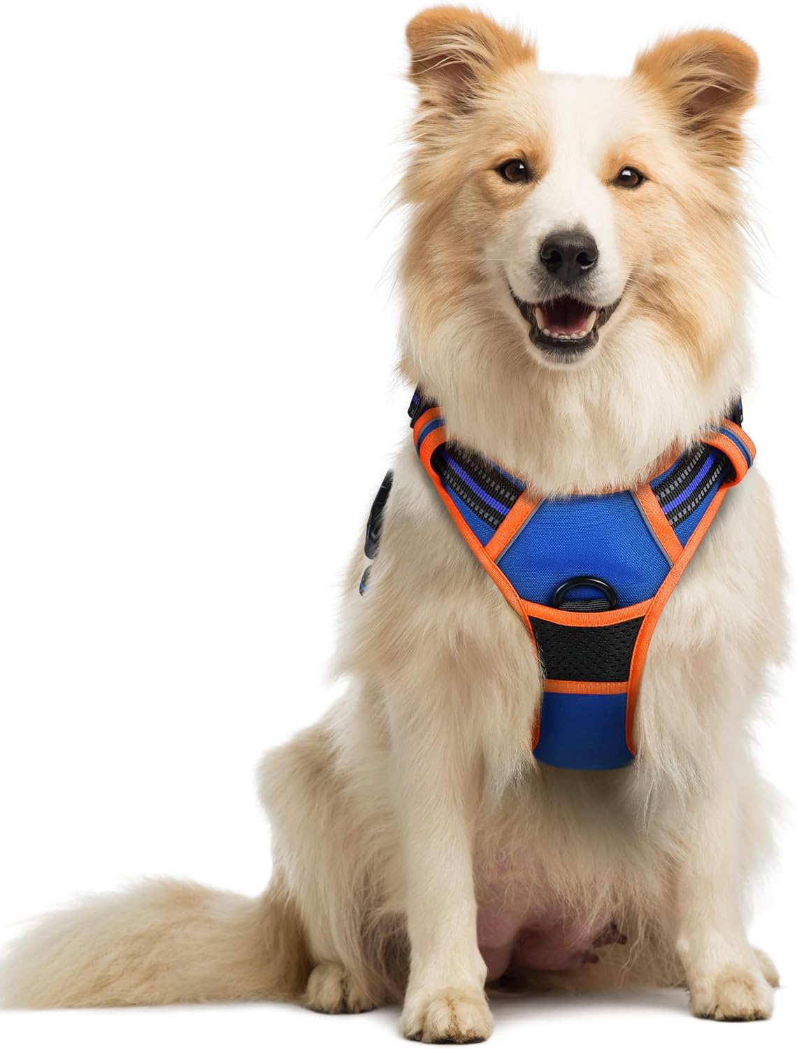rabbitgoo Dog Harness No Pull with 2 Leash Clips, Adjustable Soft Padded, Reflective Oxford No