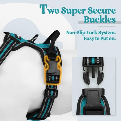 rabbitgoo Dog Harness No Pull with 2 Leash Clips, Adjustable Soft Padded, Reflective Oxford No
