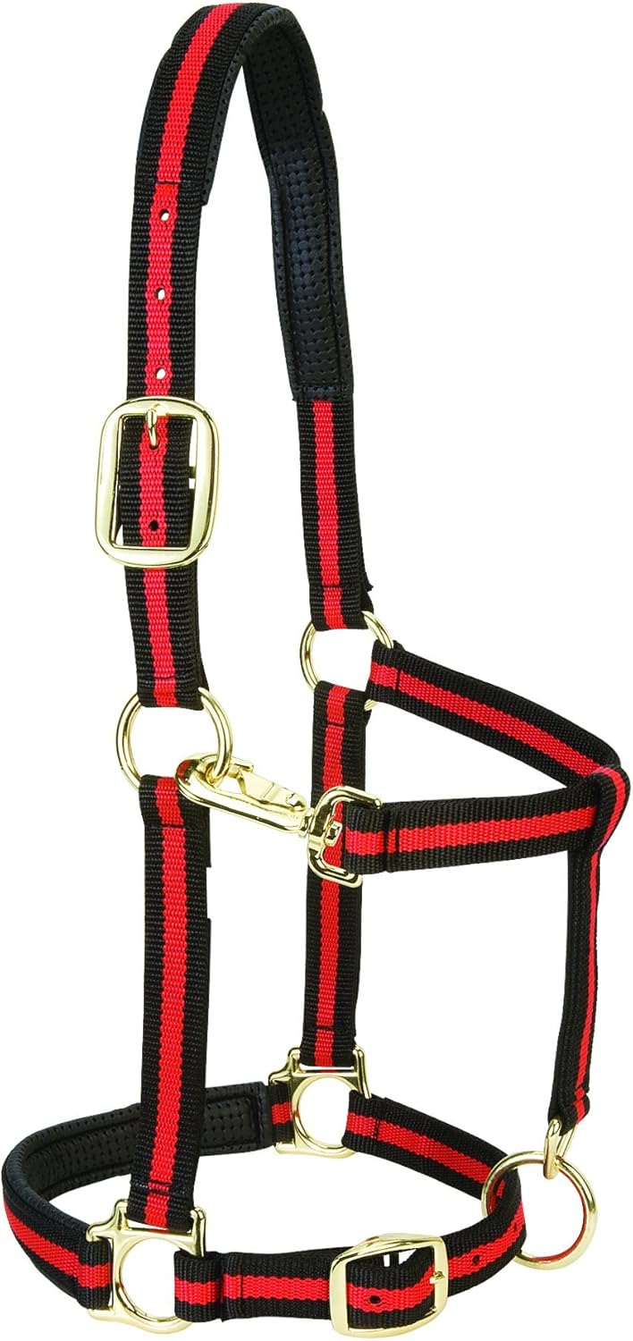 Weaver Equine Nylon Horse Halter, Triple-Ply Cheek Design, Original Non Adjustable Halters for