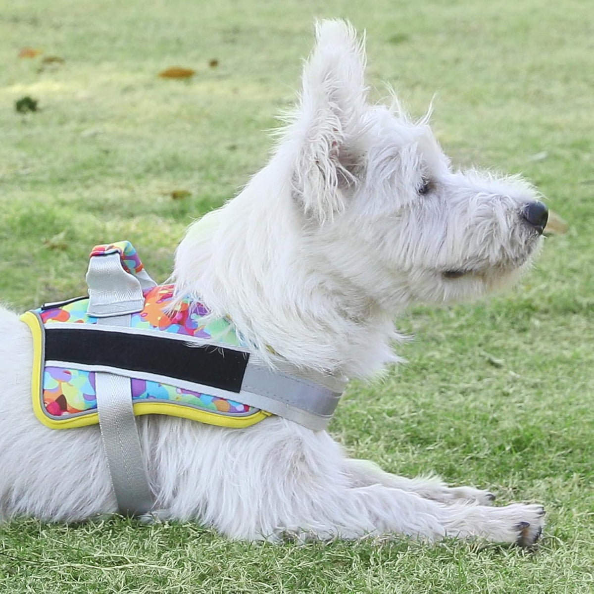 Bolux Dog Harness, No-Pull Reflective Dog Vest, Breathable Adjustable Pet Harness with Handle for