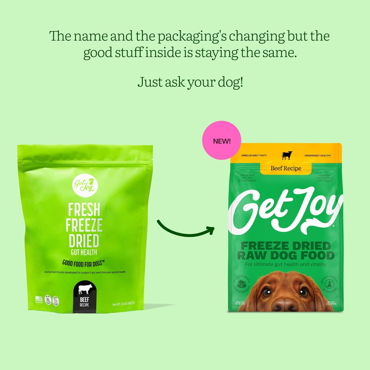 Get Joy Gut Health Fresh Freeze Dried Raw Meal, Beef Recipe, 32 Ounce Bag, Dog Food for Dogs of All