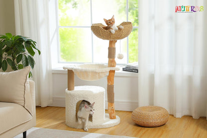 Modern Cat Tree for Large Cats, Wood Cat Tower for Indoor Cats, Real Branch Luxury Cat Furniture