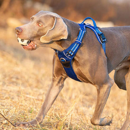 TRUE LOVE Dog Harness No Pull Nylon Reflective Pet Harness Adjustable Comfortable Control Step-in