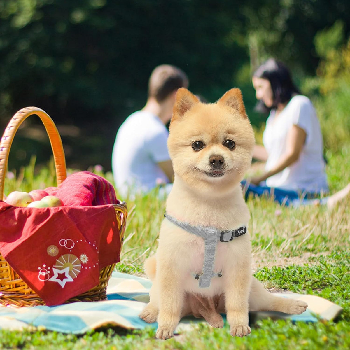 PUPTECK No Pull Dog Harness Soft Adjustable Basic Nylon Step in Puppy Vest Outdoor Walking with ID