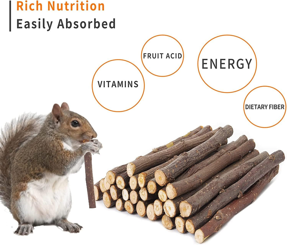 600g Apple Sticks Molar Wood Treats, Rabbit Toys Chinchilla Guinea Pig Bunny Toys Wood Chews Sticks