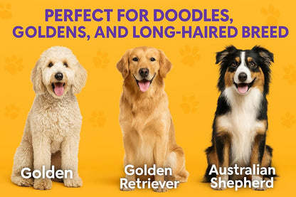 Round Bristle Pet Brush for Dogs and Cats - Soft Dog Brush for Grooming Short or Long Hair - Gentle
