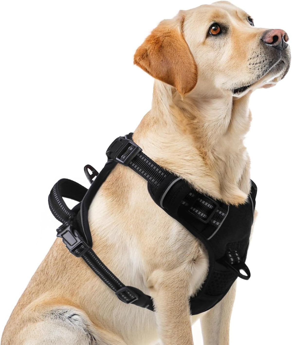 PUPTECK No Pull Dog Harness for Large, Adjustable Reflective Dog Harness with Handle Easy Control