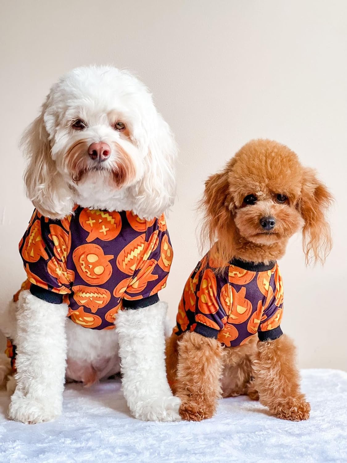 Fitwarm Halloween Pumpkin Dog Pajamas, Funny Dog Winter Clothes for Small Dogs Girl Boy, Pet