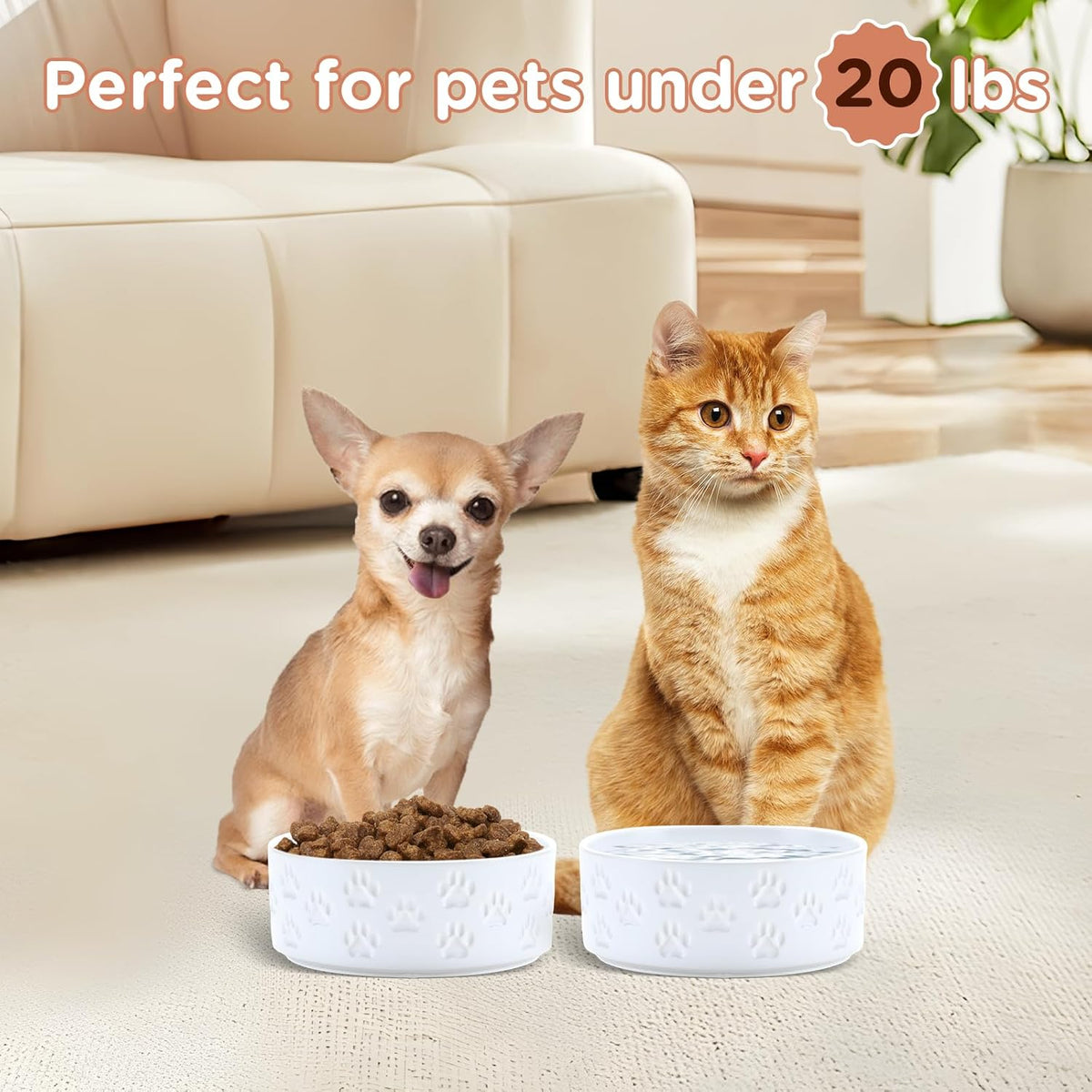 SPUNKYJUNKY Ceramic Dog and Cat Bowls 2 Pack, 5.1'' Dog and Cat Food Water Double Feeding Bowls