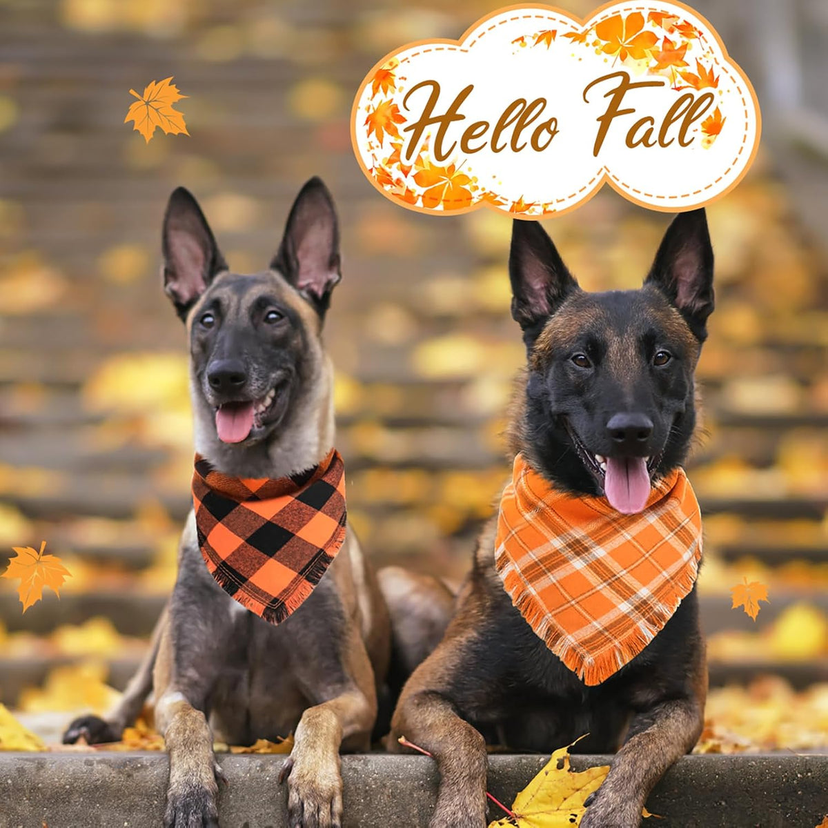 Kytely Dog Bandana Fall XLarge 2Pack, Halloween Autumn Dog Bandanas, Orange Plaid Pet Scarf for Boy