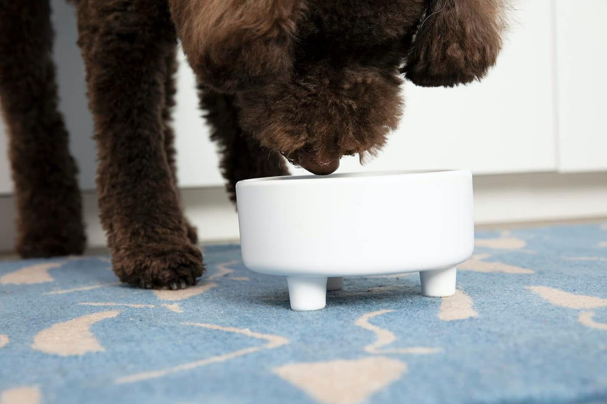 Waggo Uplift Ceramic Dog Bowl for Small Medium and Large Breeds - Heavyweight and Durable Pet Food