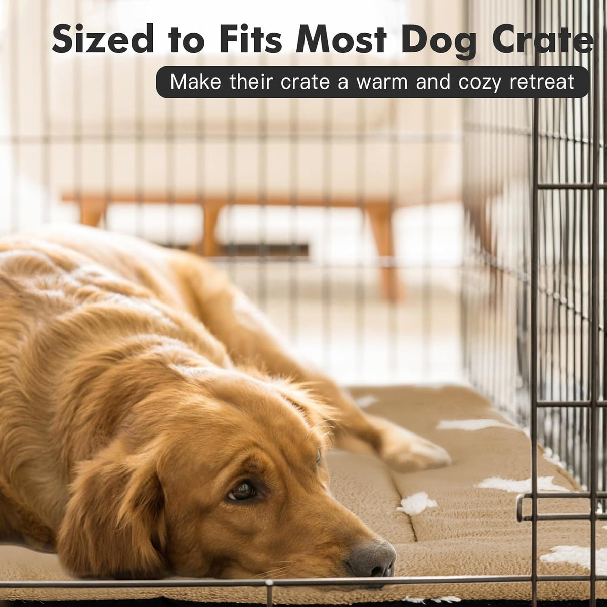 Mora Pets Cat Bed for Indoor Cats Washable Dog Crate Pad Cute Star Dog Bed Mat for Small Dogs Pet