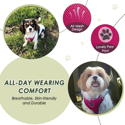 SlowTon Dog Seat Belt Harness for Car, Dog Car Harness Adjustable Mesh Breathable & Dog Seatbelt